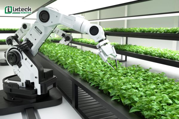 Robot thu hoạch nông sản