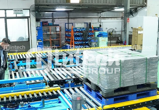 Hệ thống băng tải chở pallet