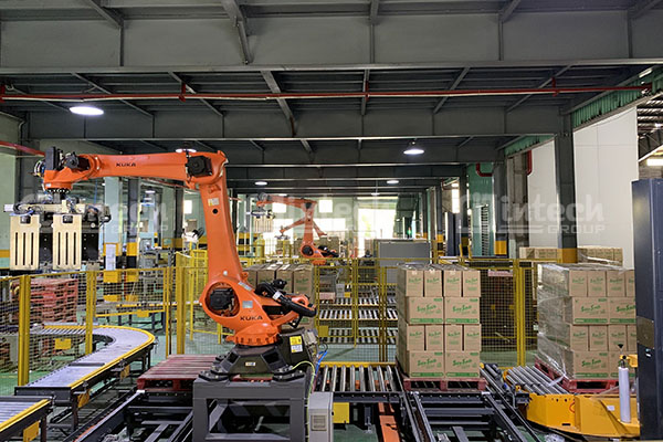 Dây chuyền tự động hóa kết hợp robot bốc xếp tự động lắp đặt tại nhà máy khách hàng 