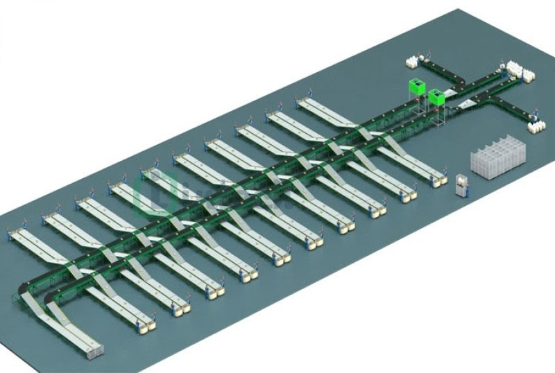 Sorting Flow Line Wave-Sorter Sorting Line
